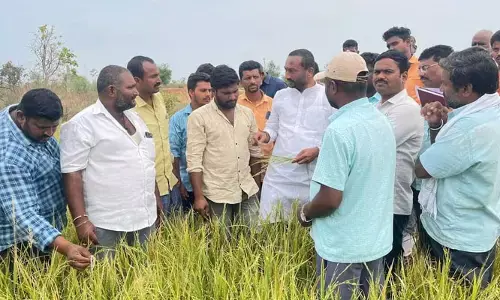 పంట నష్టపోయిన రైతులను ఆదుకోవాలి: ఎమ్మెల్యే రఘునందనరావు