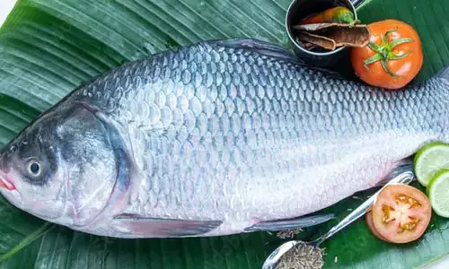 Fish: చేపలను తినడం వలన ఈ  వ్యాధులను తరిమికొట్టచ్చు!