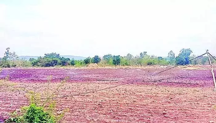ఎన్నికల సమయంలో నిర్ణయం వెల్లడించే చాన్స్ ఎన్నికల సమయంలో నిర్ణయం వెల్లడించే చాన్స్