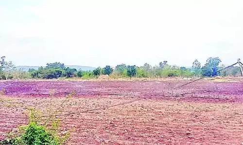 ఎన్నికల సమయంలో నిర్ణయం వెల్లడించే చాన్స్