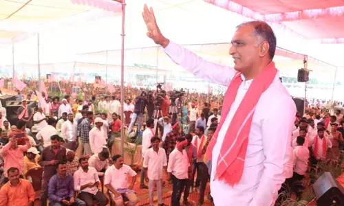 ఏపీ మంత్రులారా.. చేతనైతే ప్రత్యేక హోదా కోసం పోరాడండి : మంత్రి హరీష్ రావు