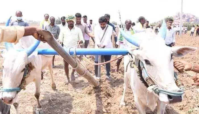 Kurnool: అరక పట్టి..పొలం దున్ని ఆకట్టుకున్న లోకేశ్ Kurnool: అరక పట్టి..పొలం దున్ని ఆకట్టుకున్న లోకేశ్