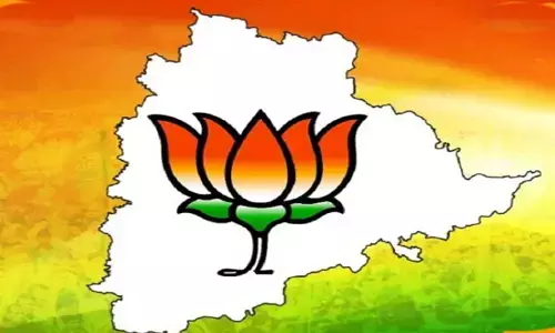 అసెంబ్లీ ఎన్నికలే టార్గెట్‌గా ప్రతీ పార్లమెంటు సెగ్మెంట్‌కు బీజేపీ ఎక్స్ పర్ట్ టీమ్