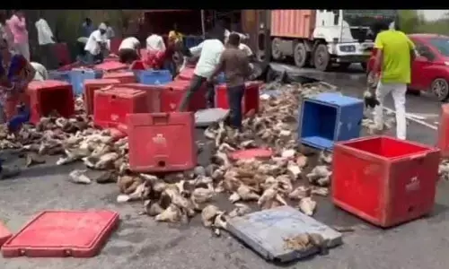 ప్రమాదంలో బాధితులు... కక్కుర్తిలో జనాలు..