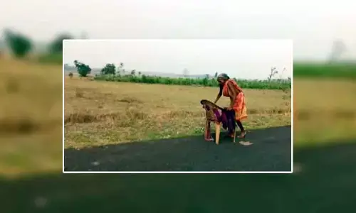ఫించన్ కోసం మండుటెండలో వృద్ధురాలి పాట్లు (వీడియో)