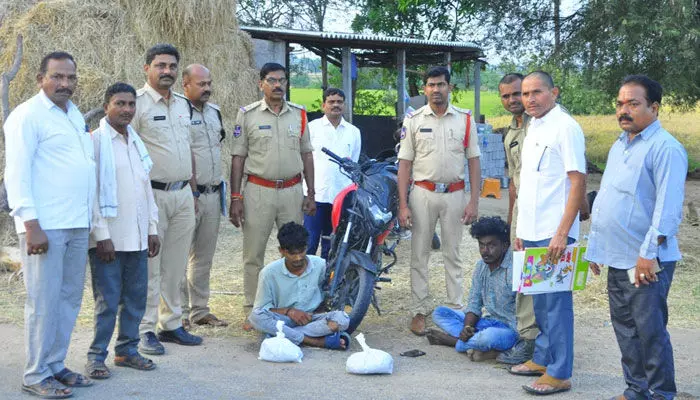 గంజాయి పట్టివేత గంజాయి పట్టివేత