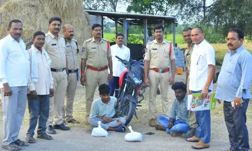 గంజాయి పట్టివేత