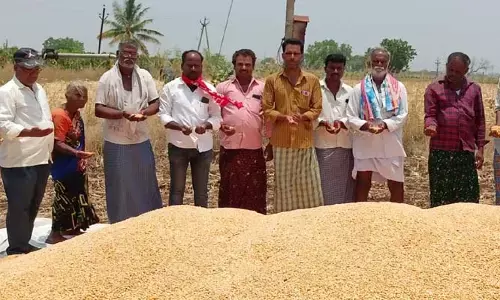 మొక్కజొన్నకు కనీస మద్దతు ధర కల్పించండి..