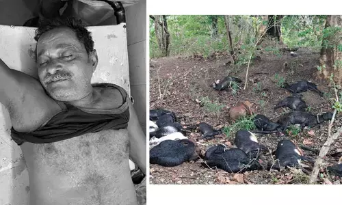 పిడుగు పాటుకు వ్యక్తి మృతి