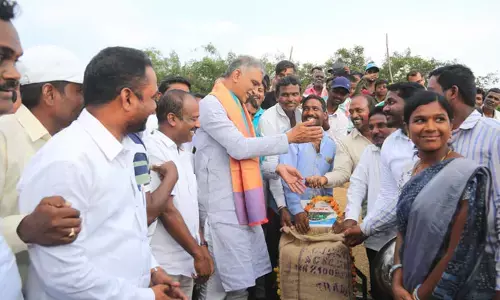 రెండు రోజుల్లో రైతుల ఖాతాల్లో ధాన్యం డబ్బు జమ: మంత్రి హరీశ్ రావు