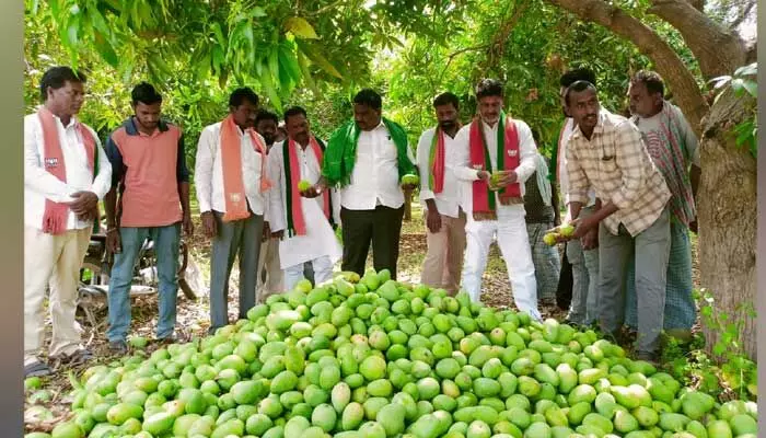 పంట నష్టపోతే ఆదుకునే పాలసీ రాష్ట్రంలో ఏముంది : గంగాడి కృష్ణారెడ్డి పంట నష్టపోతే ఆదుకునే పాలసీ రాష్ట్రంలో ఏముంది : గంగాడి కృష్ణారెడ్డి