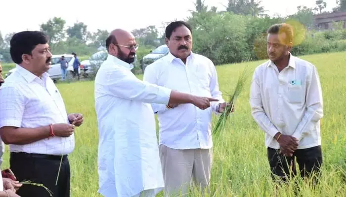 అకాల వర్షంతో నష్టపోయిన పంటలను పరిశీలించిన మంత్రి ఎర్రబెల్లి.. అకాల వర్షంతో నష్టపోయిన పంటలను పరిశీలించిన మంత్రి ఎర్రబెల్లి..