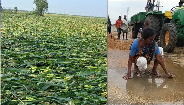 అర్ధ‌రాత్రి వ‌రంగ‌ల్‌లో గాలివాన బీభ‌త్సం