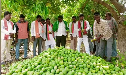పంట నష్టపోతే ఆదుకునే పాలసీ రాష్ట్రంలో ఏముంది : గంగాడి కృష్ణారెడ్డి
