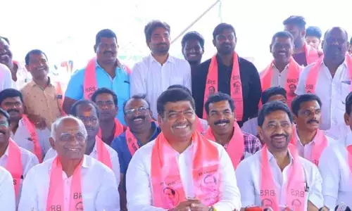 గులాబీ ప్లీనరీకి ఓరుగల్లు ముస్తాబు..