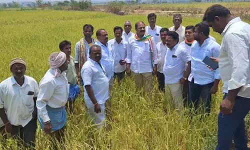 పంట నష్టపోయిన రైతులను ఆదుకోండి: మాజీ ఎమ్మెల్యే ప్రతాపరెడ్డి