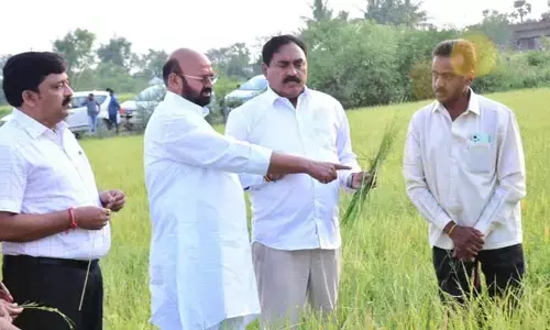 అకాల వర్షంతో నష్టపోయిన పంటలను పరిశీలించిన మంత్రి ఎర్రబెల్లి..
