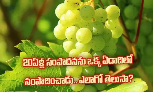 20ఏళ్ల సంపాదనను ఒక్క ఏడాదిలో సంపాదించాడు.. ఎలాగో తెలుసా?