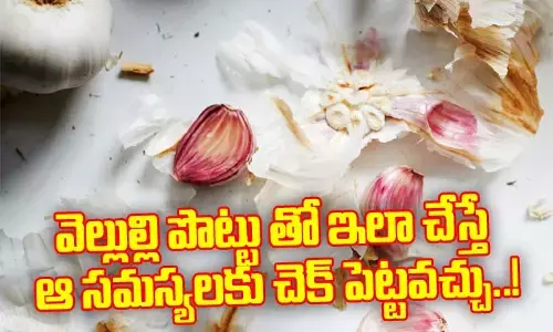 వెల్లుల్లి పొట్టు తో ఇలా చేస్తే ఆ సమస్యలకు చెక్ పెట్టవచ్చు..!
