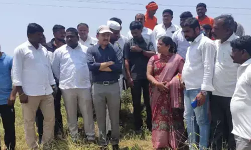 పంట నష్టాన్ని పరిశీలించిన కలెక్టర్ ప్రశాంత్ జీవన్ పాటిల్