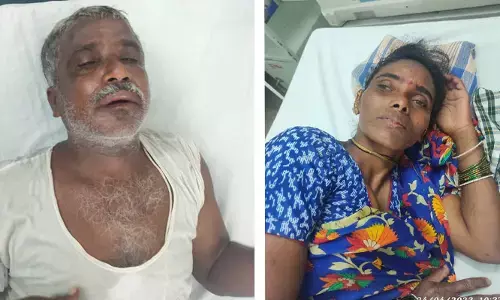 ఉపాధి హమీ కూలీలపై తేనెటీగల దాడి