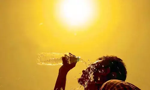 వేడిమి తీవ్రం... జాగ్రత్తలు అవసరం.