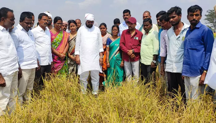 ప్రతి రైతును ప్రభుత్వం ఆదుకుంటుంది: ఎమ్మెల్యే ముత్తిరెడ్డి యాదగిరి రెడ్డి