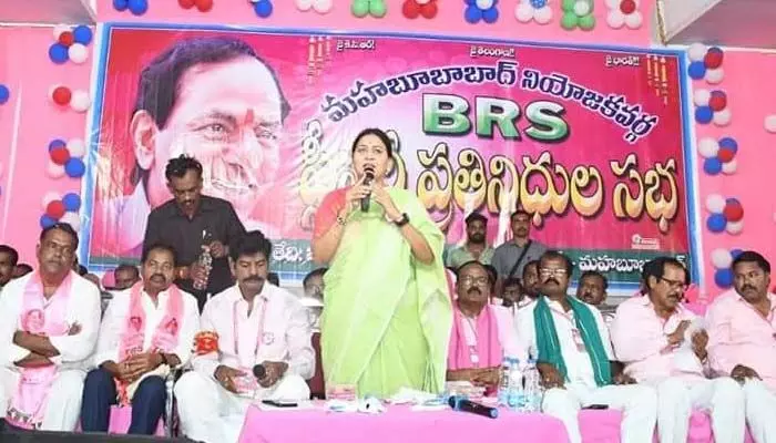 మహబూబాబాద్ నియోజకవర్గ బీఆర్ఎస్ ప్లీనరీ సక్సెస్.. మహబూబాబాద్ నియోజకవర్గ బీఆర్ఎస్ ప్లీనరీ సక్సెస్..