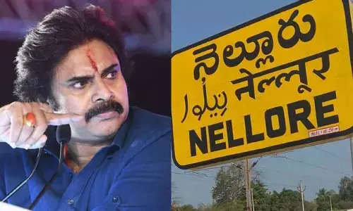 నెల్లూరులో జనసేన డల్.. అధినేత తీరుతో శ్రేణుల్లో ఆందోళన