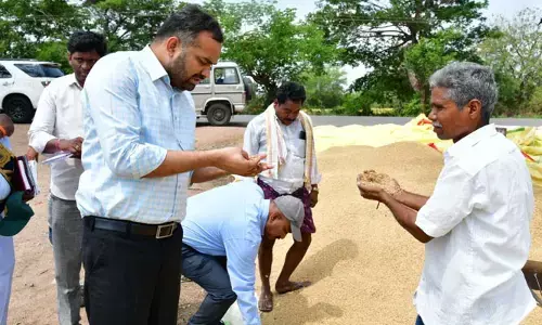 పంట నష్టంపై సర్వే చేసి ప్రభుత్వానికి నివేదిక పంపిస్తాం : జిల్లా కలెక్టర్ ఆర్.వి. కర్ణన్
