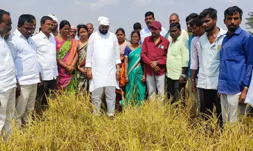 ప్రతి రైతును ప్రభుత్వం ఆదుకుంటుంది: ఎమ్మెల్యే ముత్తిరెడ్డి యాదగిరి రెడ్డి