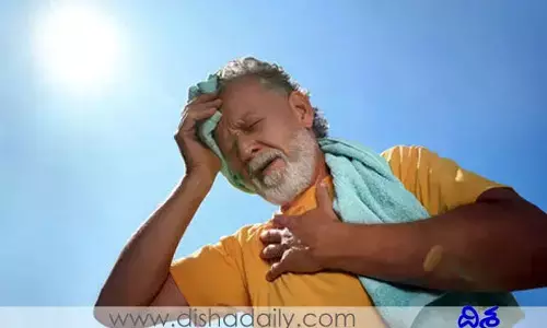 వడదెబ్బ అంటే ఏమిటి..? దాని నివారణ చర్యలు..!