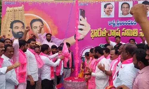 వాడవాడలా గులాబీ జెండా రెపరెపలు..