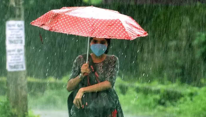 సిద్ధిపేట జిల్లాలో 35.4 శాతం వర్షంపాతం నమోదు సిద్ధిపేట జిల్లాలో 35.4 శాతం వర్షంపాతం నమోదు