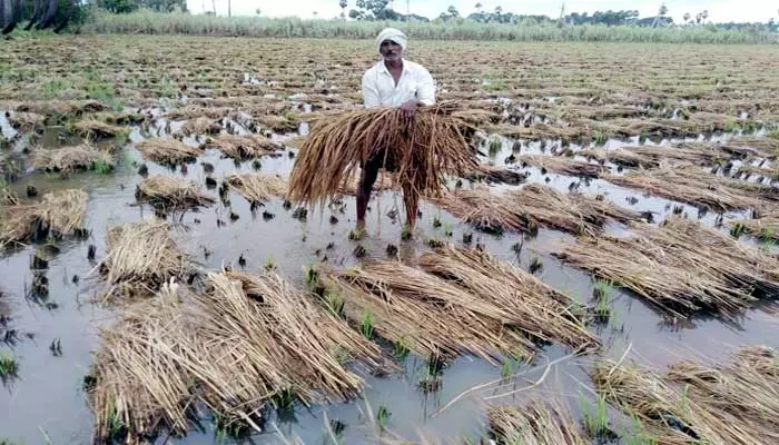 వరుస పంట నష్టాలు.. రైతుకు ఏది భరోసా?