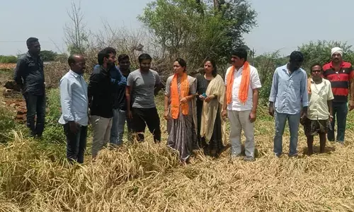 ప్రభుత్వం వెంటనే పంట నష్ట పరిహారం అందించాలి : బీజేపీ రాష్ట్ర కార్యవర్గ సభ్యురాలు భోగ శ్రావణి