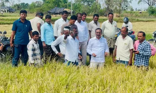 పంట పరిహారం కింద ఎకరానికి రూ.20 వేలు ఇవ్వాలి : ఎమ్మెల్యే రఘునందన్ రావు