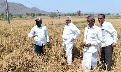 రైతులను ఆదుకోవాల్సిన సమయంలో ఆర్భాటాలా : పట్టభద్రుల ఎమ్మెల్సీ జీవన్ రెడ్డి