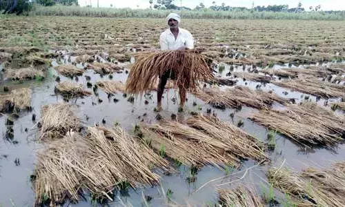 వరుస పంట నష్టాలు.. రైతుకు ఏది భరోసా?