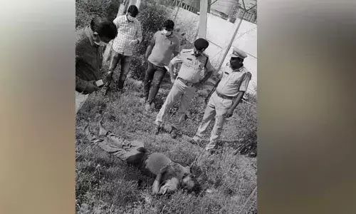 థర్మల్ ప్లాంట్ లో జార్ఖండ్ కార్మికుడి హత్య..