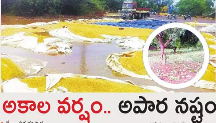 అకాల వర్షం.. అపార నష్టం అకాల వర్షం.. అపార నష్టం