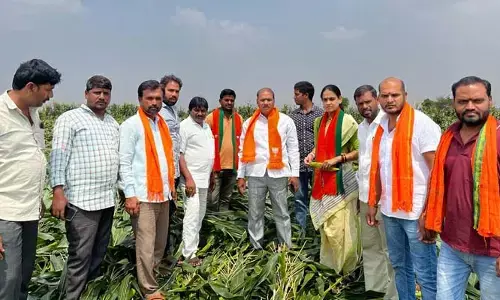 ఎకరాకు రూ. 30 వేలు పంట నష్ట పరిహారం చెల్లించాలి