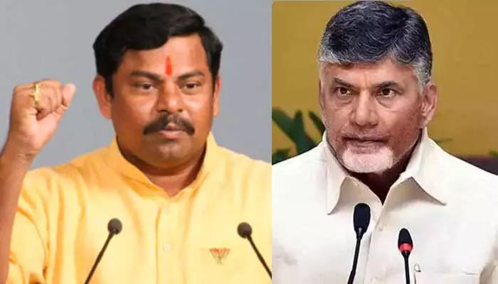 Mla Rajasing: చంద్రబాబు అంటే గౌరవం.. రాజకీయంగా లైఫ్ ఇచ్చారు