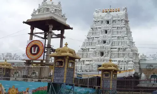 పరకామణిలో చోరికి పాల్పతున్న వ్యక్తిని అదుపులోకి తీసుకున్న విజిలెన్స్ అధికారులు