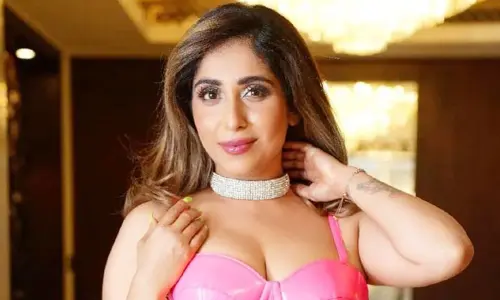 పోర్న్‌స్టార్‌గా మారిన బిగ్ బాస్ కంటెస్టెంట్