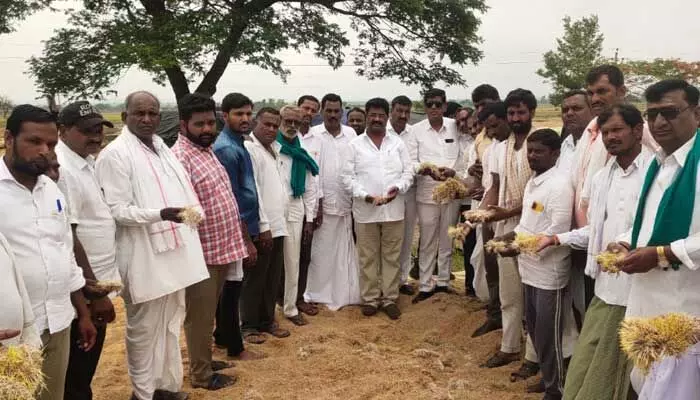 ప్రతి రైతును ఆదుకుంటాం పంటకు నష్టపరిహారం చెల్లిస్తాం.. జుక్కల్ ఎమ్మెల్యే ప్రతి రైతును ఆదుకుంటాం పంటకు నష్టపరిహారం చెల్లిస్తాం.. జుక్కల్ ఎమ్మెల్యే