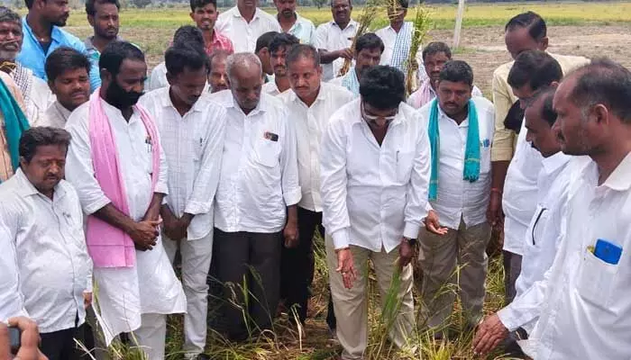 రైతులకు తెలంగాణ ప్రభుత్వం అండగా నిలుస్తుంది : ఎమ్మెల్యే షిండే రైతులకు తెలంగాణ ప్రభుత్వం అండగా నిలుస్తుంది : ఎమ్మెల్యే షిండే