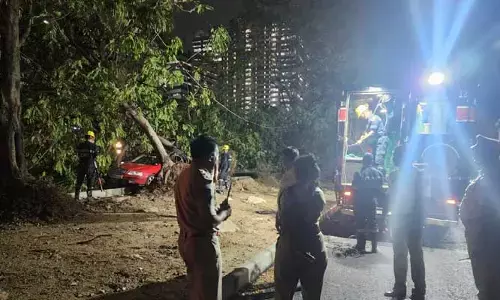 నగరంలో  భారీ వర్షం.. రోడ్డుకు అడ్డంగా విరిగిపడిన చెట్లు