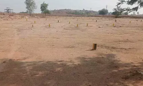 మూడు పువ్వులు.. ఆరు కాయలుగా అక్రమ వెంచర్ల దంద..