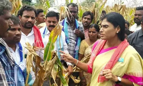కేసీఆర్ పాలనలో రుణమాఫీ నుంచి అన్ని మోసాలే : వైఎస్ షర్మిల